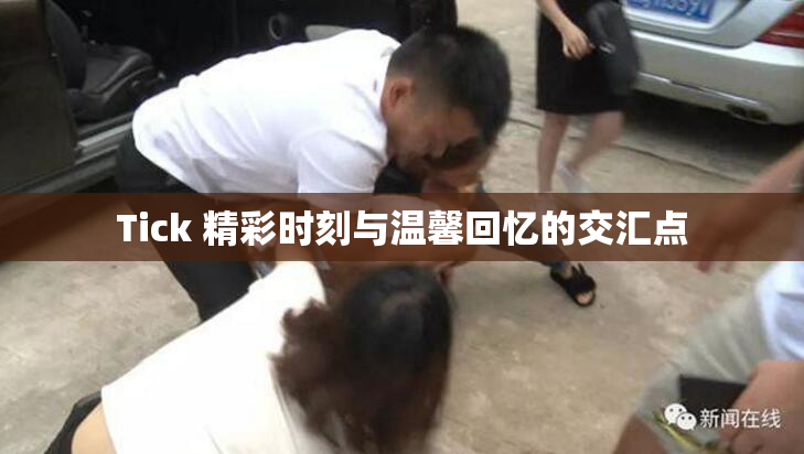 Tick 精彩时刻与温馨回忆的交汇点