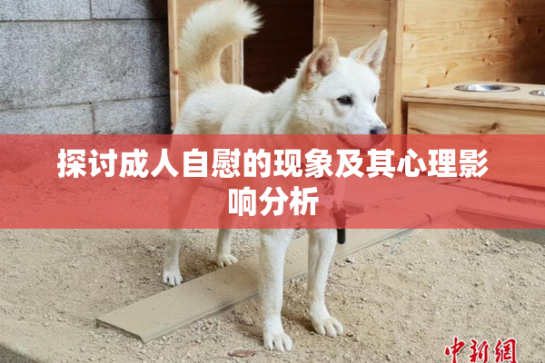 探讨成人自慰的现象及其心理影响分析