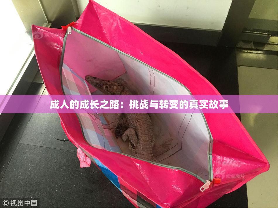 成人的成长之路：挑战与转变的真实故事