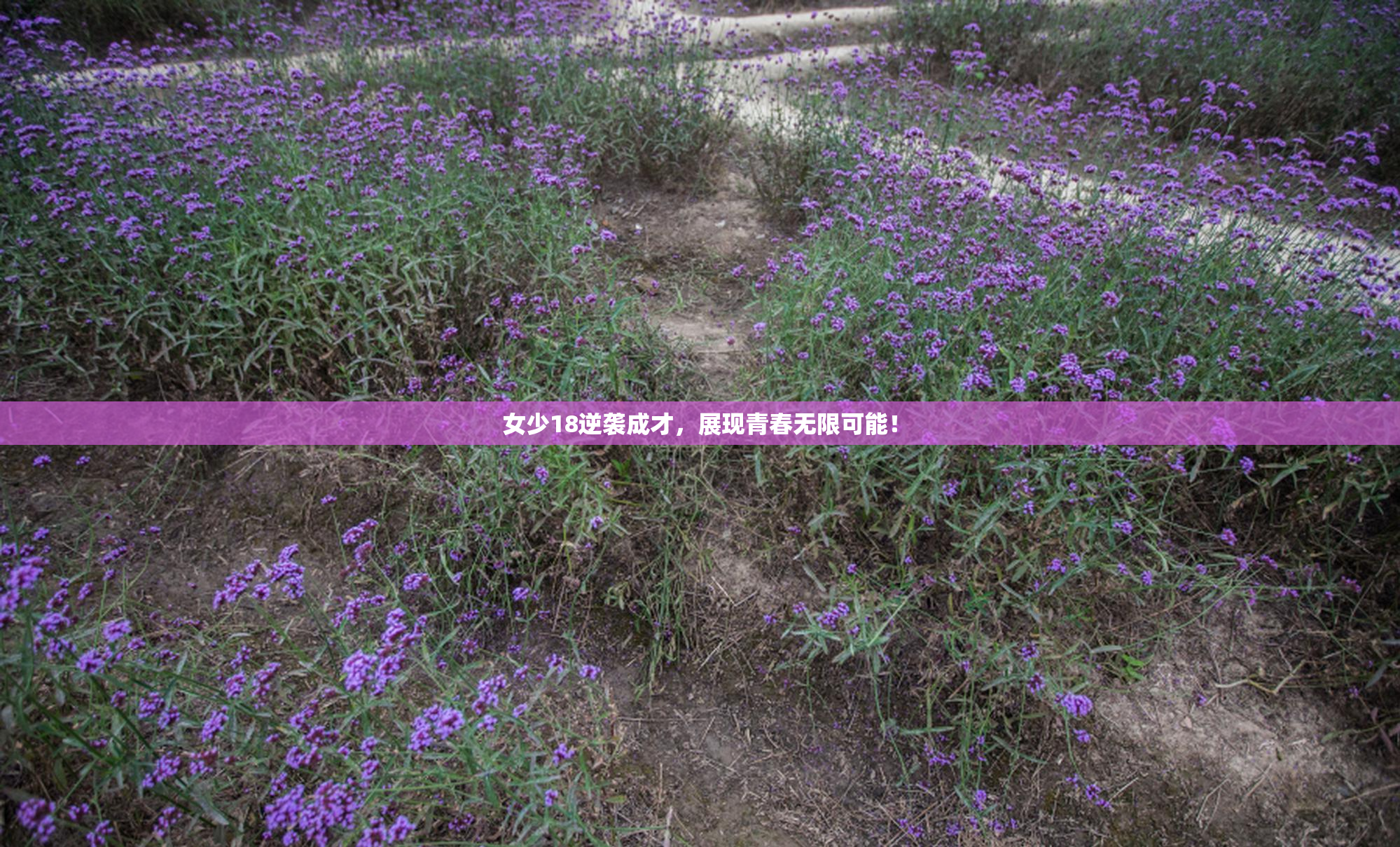 女少18逆袭成才，展现青春无限可能！