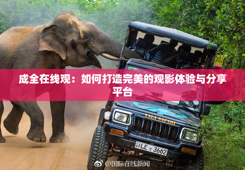 成全在线观：如何打造完美的观影体验与分享平台