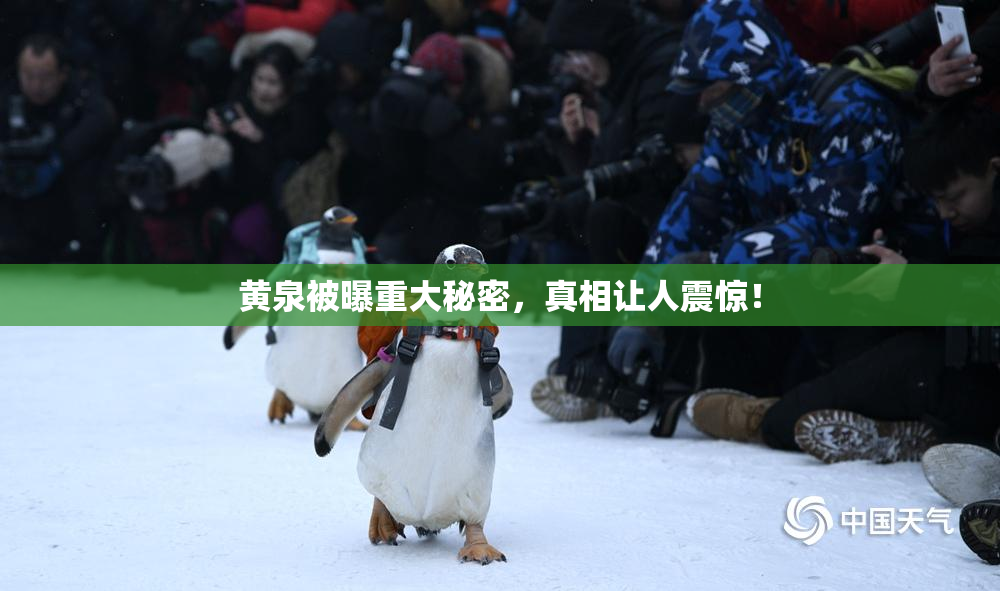 黄泉被曝重大秘密，真相让人震惊！