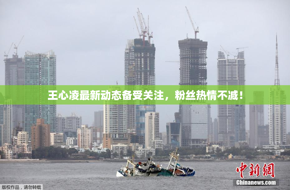 王心凌最新动态备受关注，粉丝热情不减！