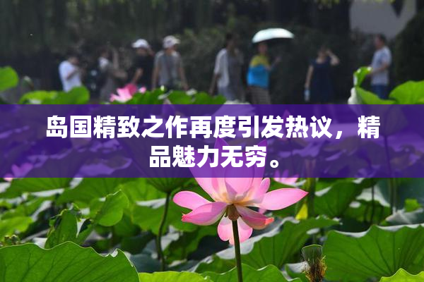 岛国精致之作再度引发热议，精品魅力无穷。