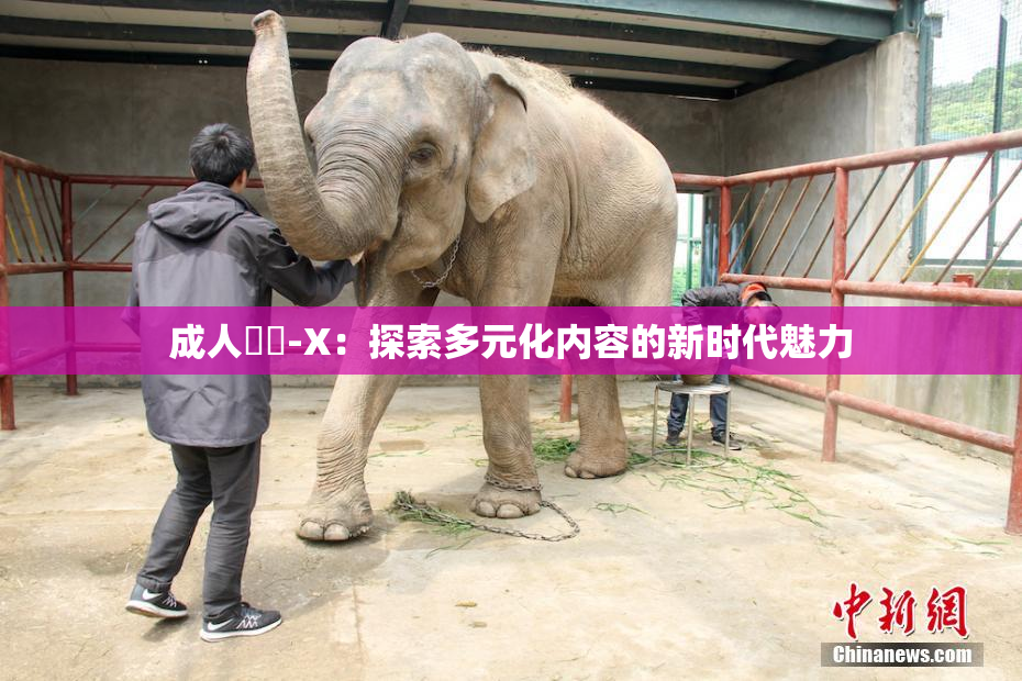 成人視頻-X：探索多元化内容的新时代魅力