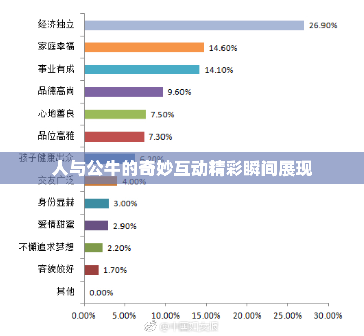 人与公牛的奇妙互动精彩瞬间展现