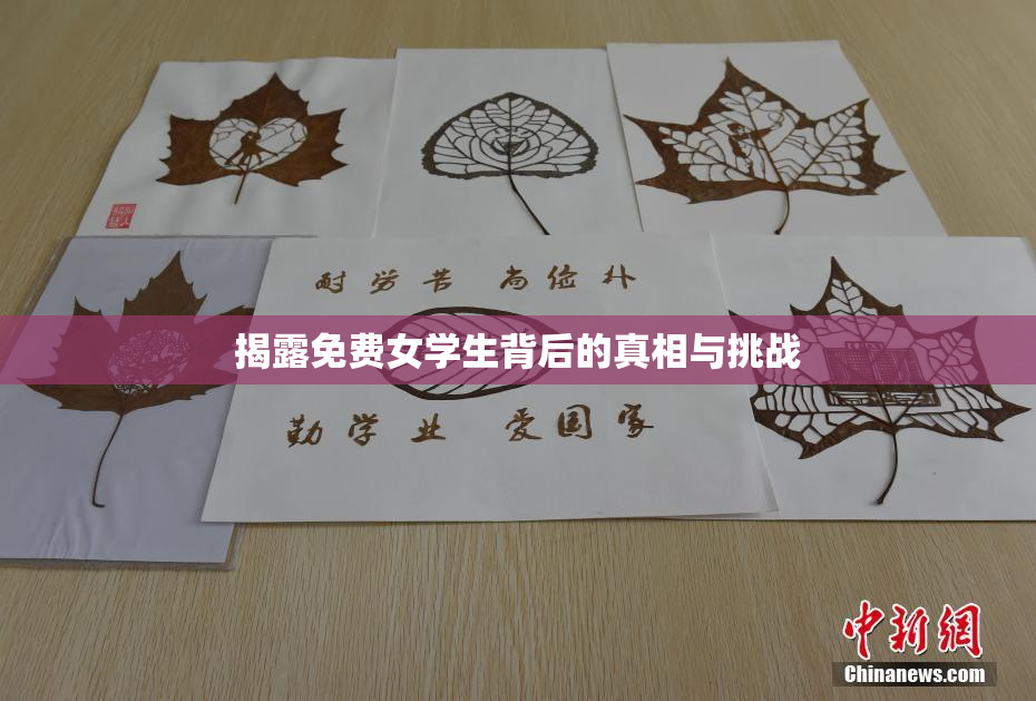 揭露免费女学生背后的真相与挑战