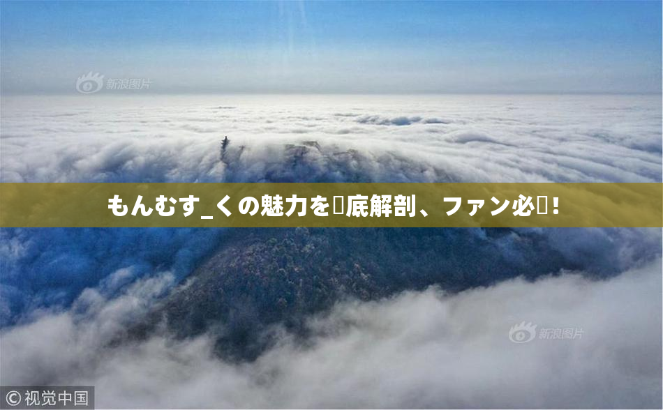 もんむす_くの魅力を徹底解剖、ファン必見！