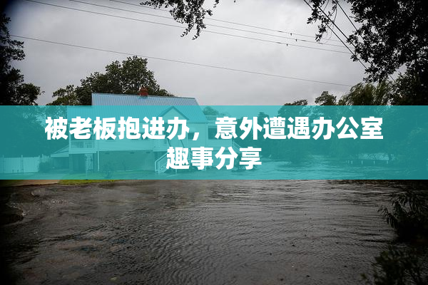 被老板抱进办，意外遭遇办公室趣事分享