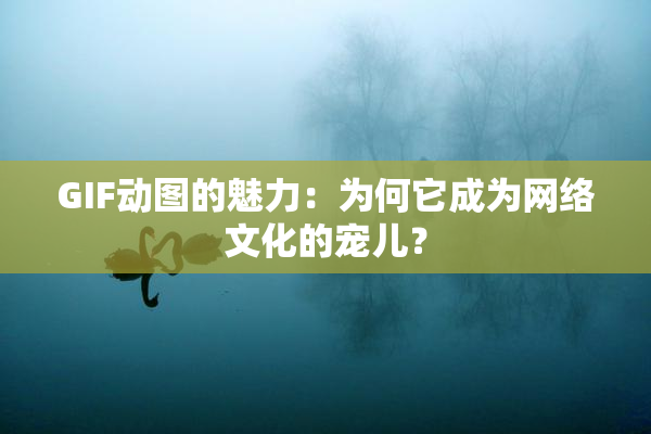 GIF动图的魅力：为何它成为网络文化的宠儿？