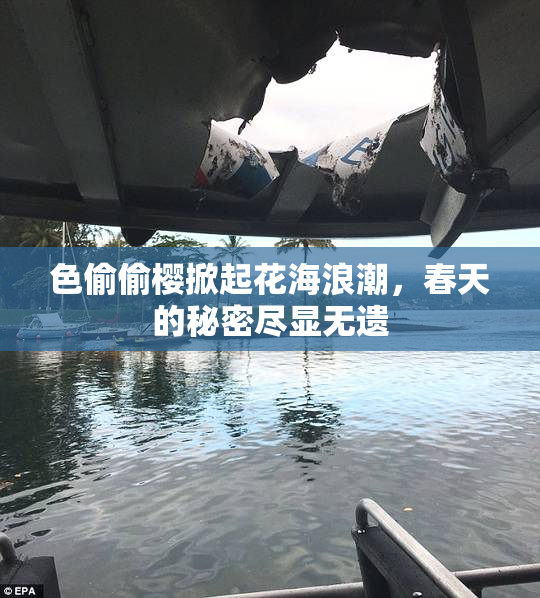 色偷偷樱掀起花海浪潮，春天的秘密尽显无遗