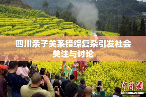 四川亲子关系错综复杂引发社会关注与讨论