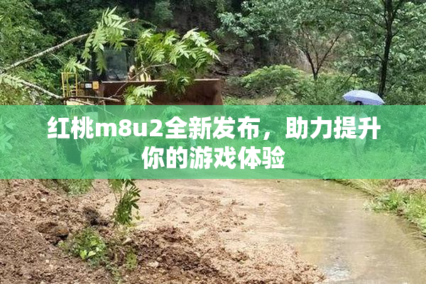 红桃m8u2全新发布，助力提升你的游戏体验