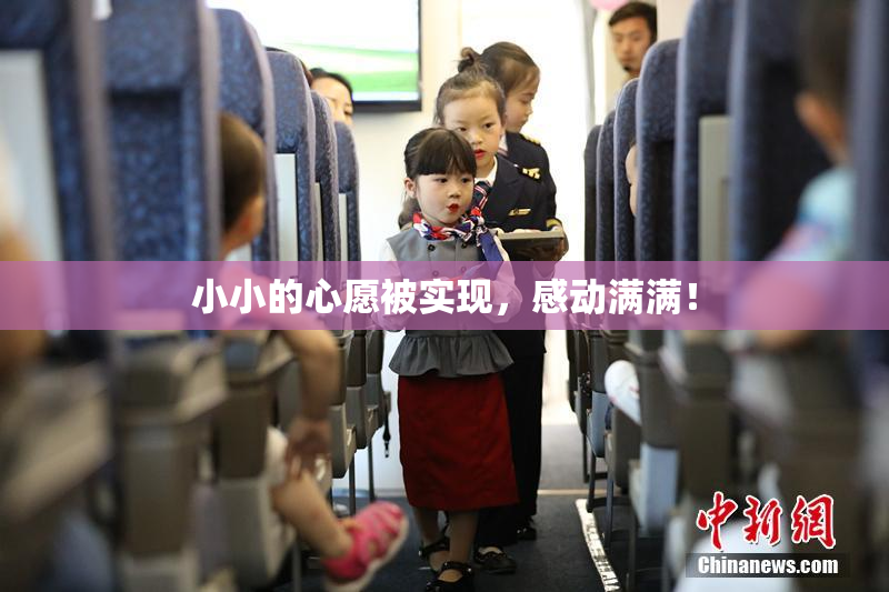 小小的心愿被实现，感动满满！