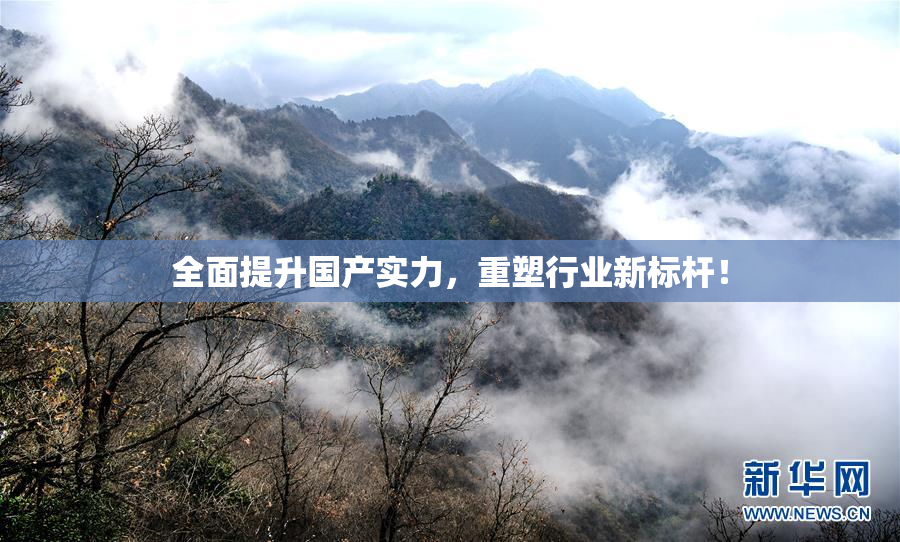 全面提升国产实力，重塑行业新标杆！