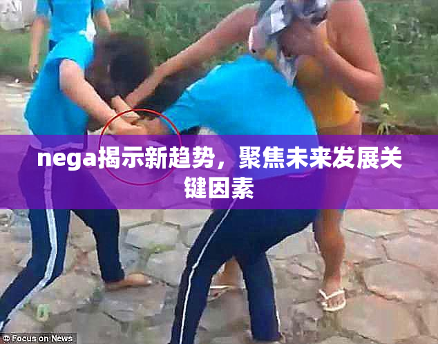 nega揭示新趋势，聚焦未来发展关键因素