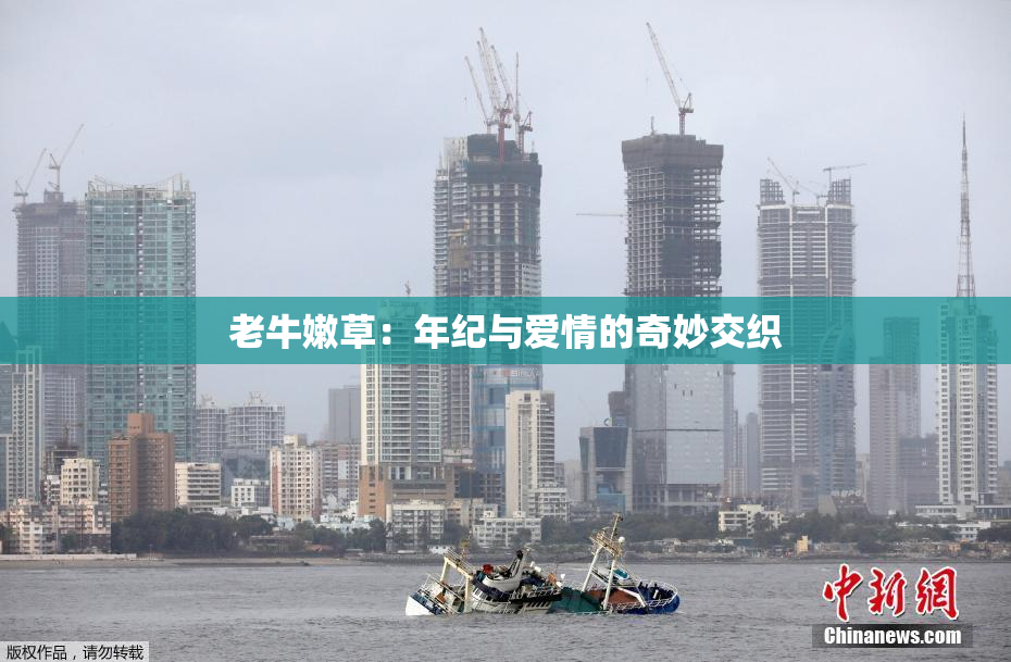老牛嫩草：年纪与爱情的奇妙交织