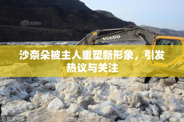 沙奈朵被主人重塑新形象，引发热议与关注