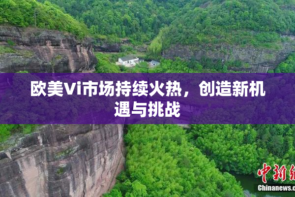 欧美Vi市场持续火热，创造新机遇与挑战