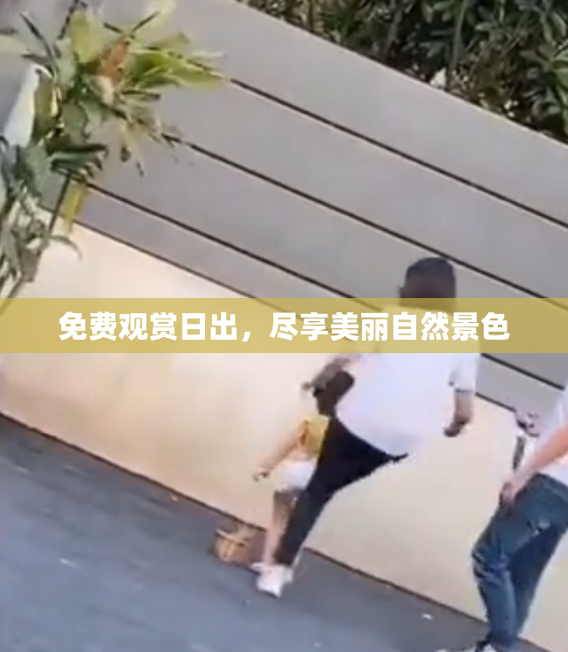 免费观赏日出，尽享美丽自然景色