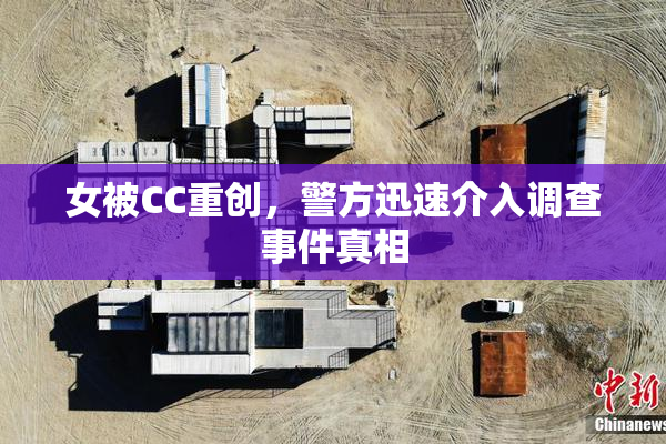 女被CC重创，警方迅速介入调查事件真相