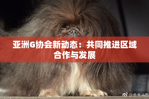 亚洲G协会新动态：共同推进区域合作与发展