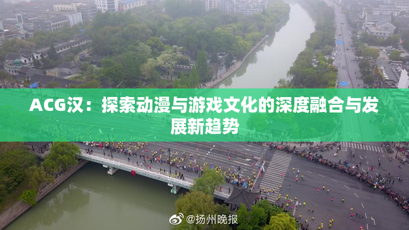 ACG汉：探索动漫与游戏文化的深度融合与发展新趋势
