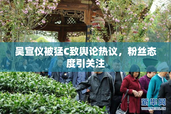 吴宣仪被猛C致舆论热议，粉丝态度引关注