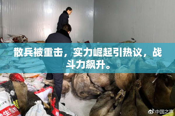 散兵被重击，实力崛起引热议，战斗力飙升。