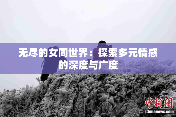 无尽的女同世界：探索多元情感的深度与广度