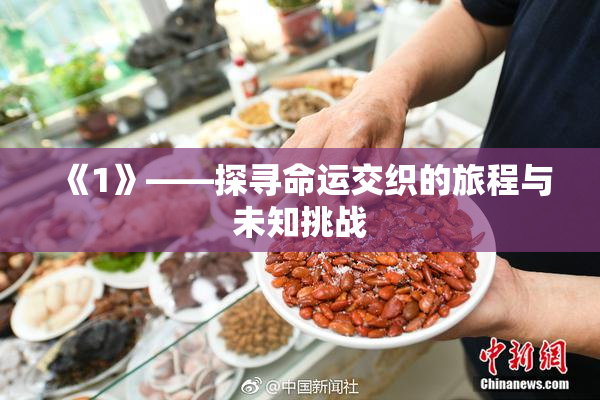 《1》——探寻命运交织的旅程与未知挑战