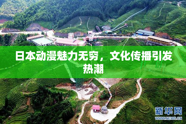 日本动漫魅力无穷，文化传播引发热潮