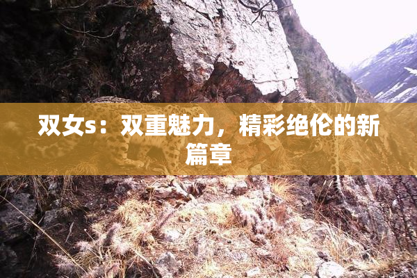 双女s：双重魅力，精彩绝伦的新篇章