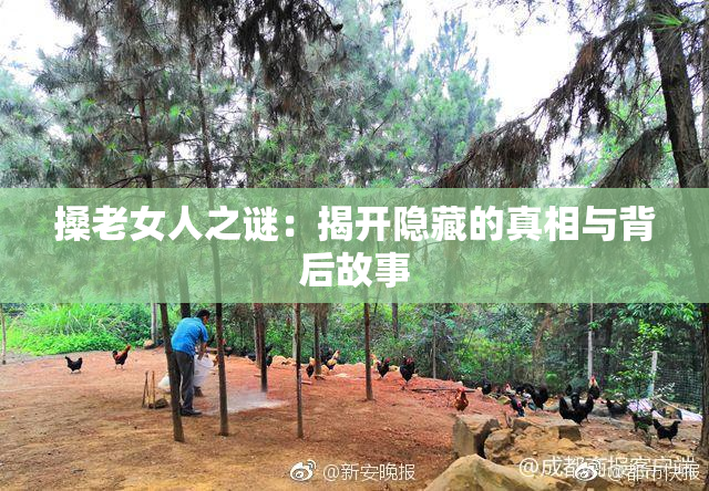 搡老女人之谜：揭开隐藏的真相与背后故事