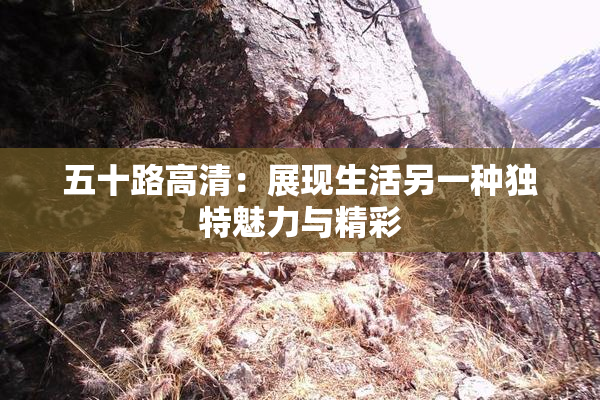 五十路高清：展现生活另一种独特魅力与精彩