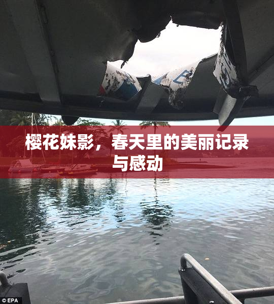 樱花妹影，春天里的美丽记录与感动
