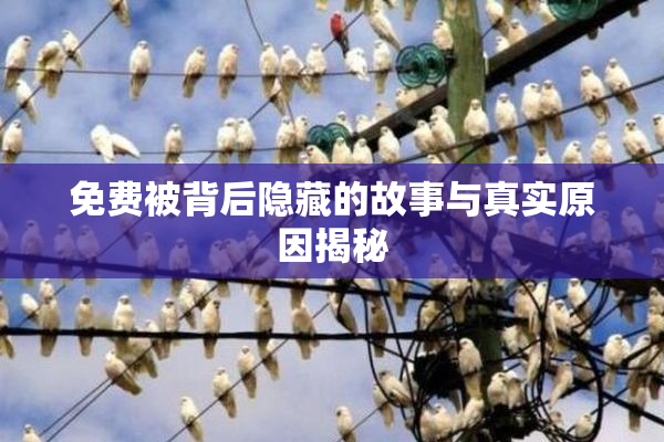 免费被背后隐藏的故事与真实原因揭秘