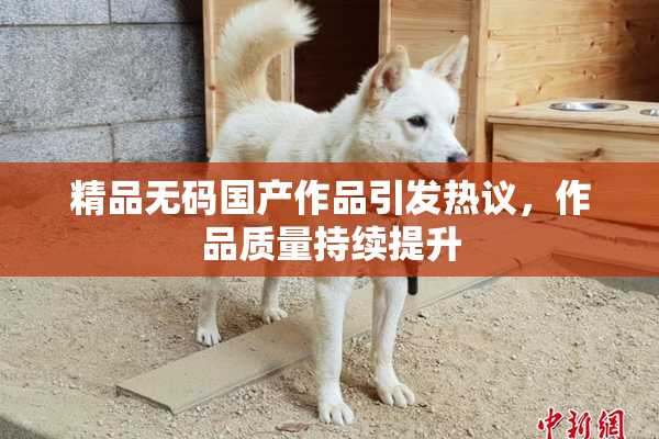 精品无码国产作品引发热议，作品质量持续提升