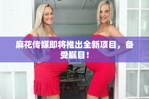 麻花传媒即将推出全新项目，备受瞩目！