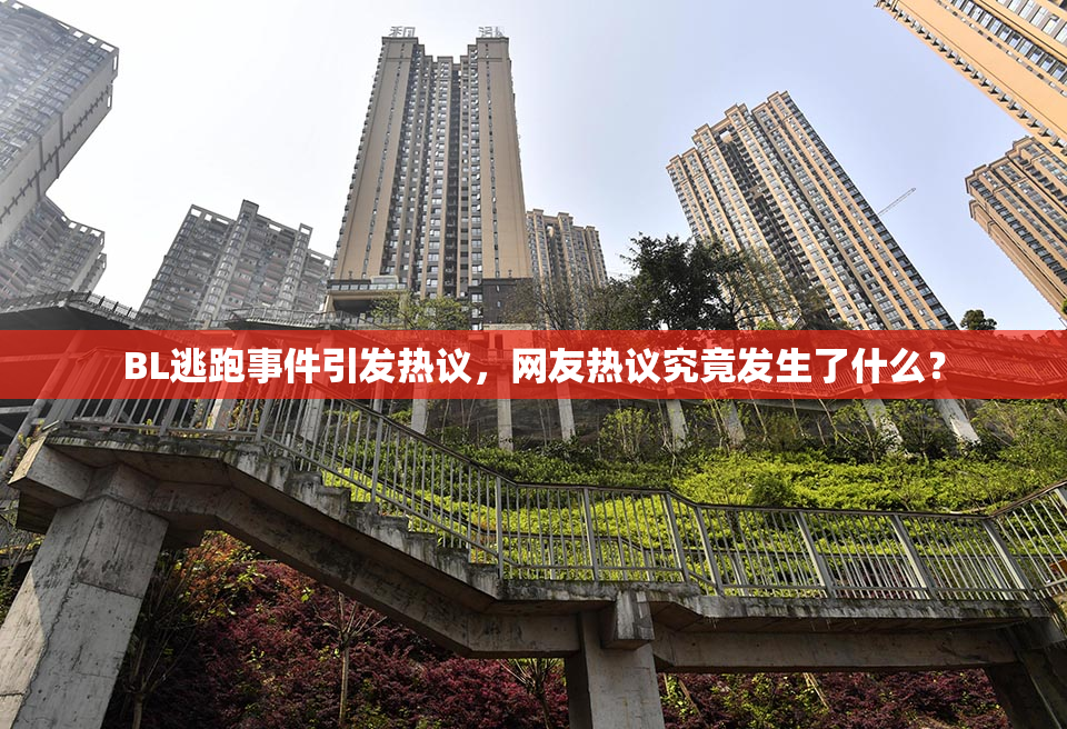 BL逃跑事件引发热议，网友热议究竟发生了什么？