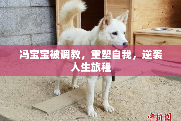 冯宝宝被调教，重塑自我，逆袭人生旅程