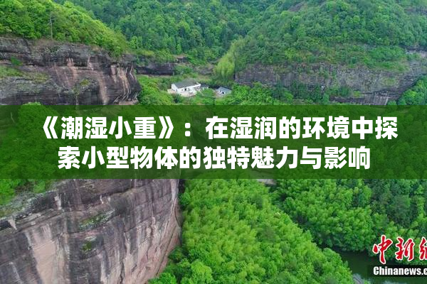 《潮湿小重》：在湿润的环境中探索小型物体的独特魅力与影响