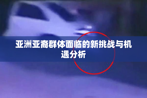亚洲亚裔群体面临的新挑战与机遇分析