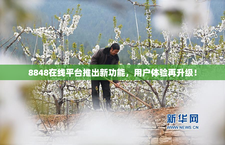 8848在线平台推出新功能，用户体验再升级！