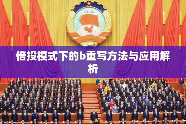 倍投模式下的b重写方法与应用解析