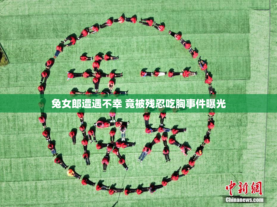 兔女郎遭遇不幸 竟被残忍吃胸事件曝光