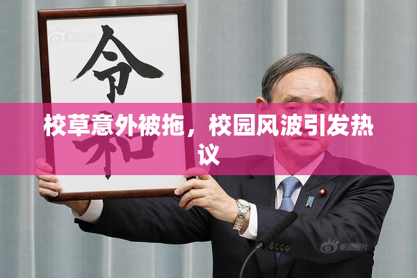校草意外被拖，校园风波引发热议