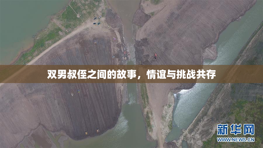 双男叔侄之间的故事，情谊与挑战共存