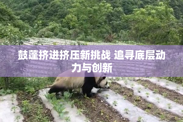 鼓蓬挤进挤压新挑战 追寻底层动力与创新