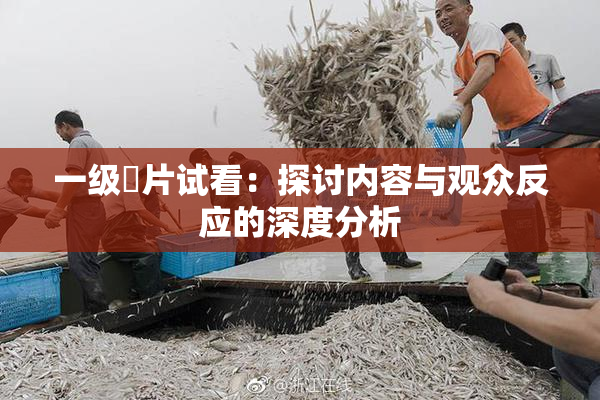 一级婬片试看：探讨内容与观众反应的深度分析